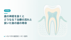 歯の神経を抜くとどうなる？治療の流れと抜いた後の歯の寿命（記事アイキャッチ）